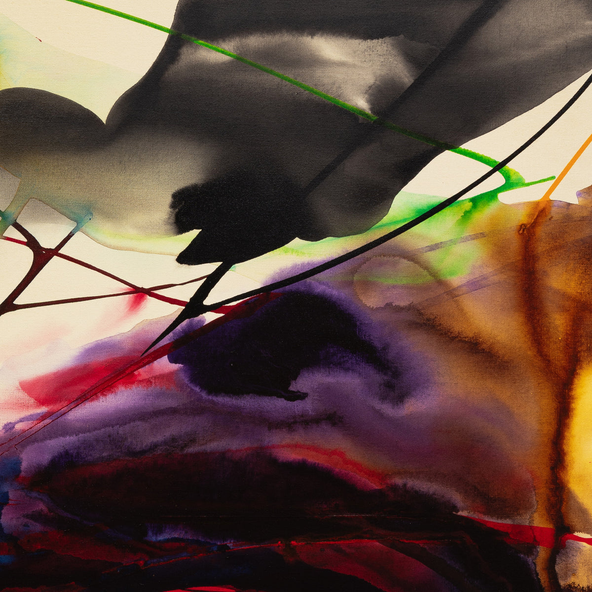 Phenomena Crow Wing Back