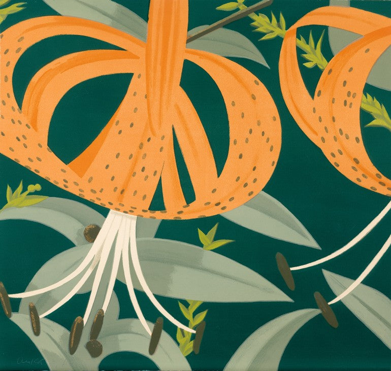 Superb Lilies