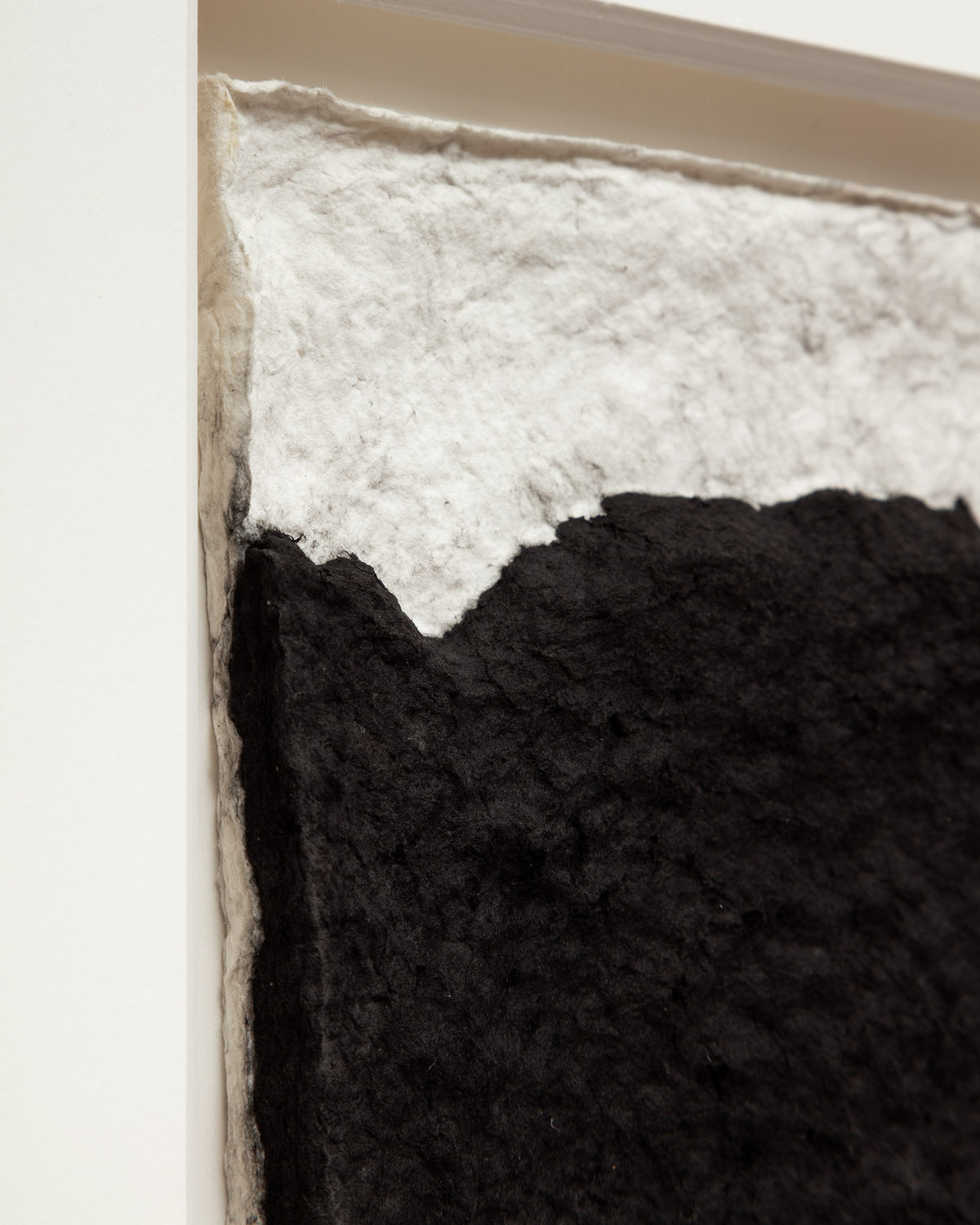 Untitled (Cast Flowers)