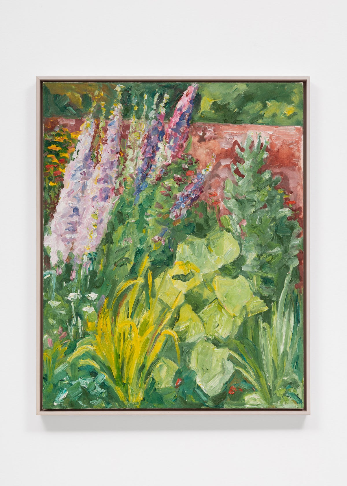 Mauve Delphiniums